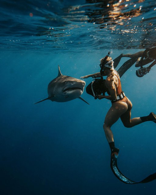Scuba Diving Vacations for Singles: An Unforgettable Underwater Adventure